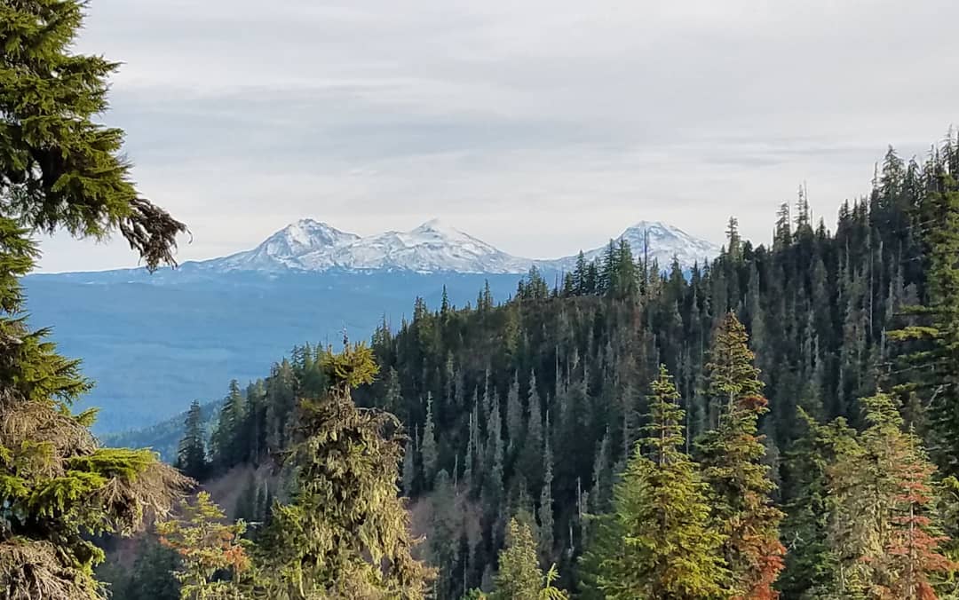 Cascade mountain landscape with old-growth forest