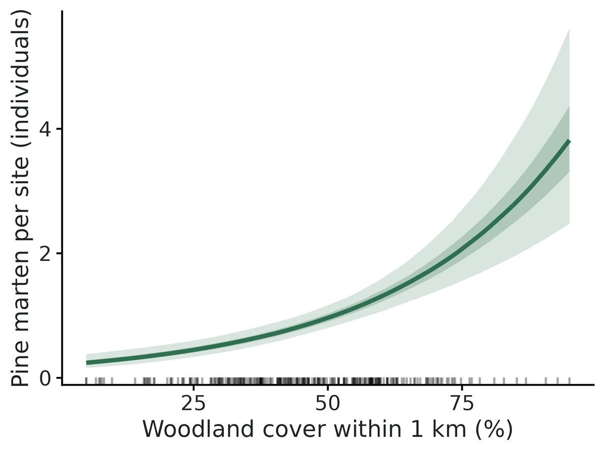 Figure: Expected number of Pine marten individuals using a site against Woodland cover within 1 km (%) (posterior median with 95% and 50% credible bands), other covariates at their means.