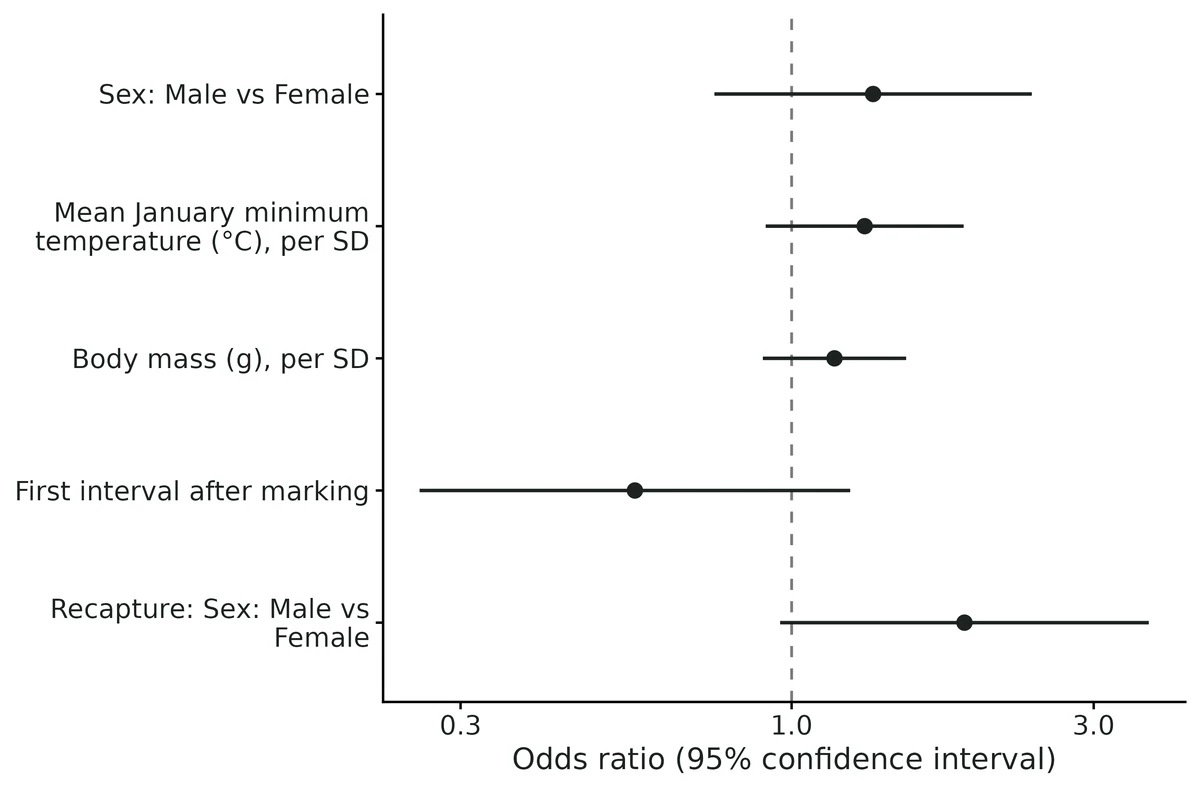 Figure: Effects on the odds of apparent survival and of recapture: odds ratio per 1 SD for continuous covariates, versus the reference level for factors (point: estimate; bar: 95% confidence interval; log scale).
