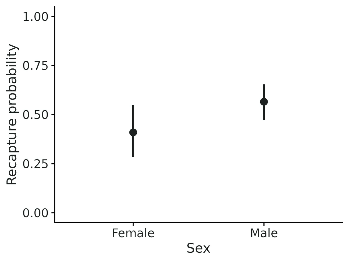 Figure: Recapture probability by group (point: estimate; bar: 95% confidence interval).