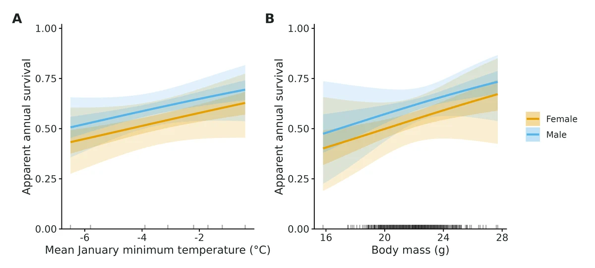 Figure: Conditional effects of all continuous covariates on apparent survival (line: estimate; bands: 50% and 95% confidence intervals); other covariates at their means.