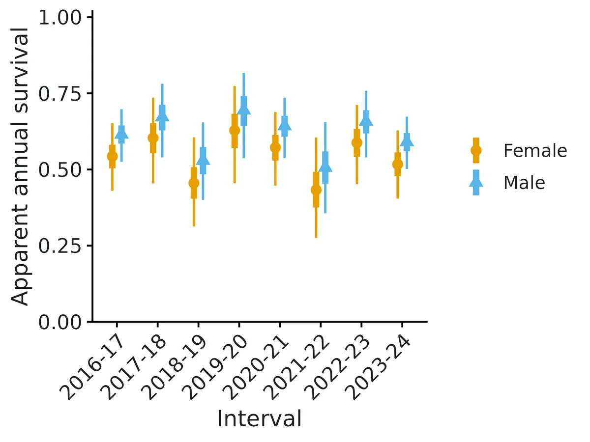 Figure: Apparent survival per interval between occasions (points: estimates; thick bar: 50%, thin bar: 95% confidence interval); colours and symbols = Sex…