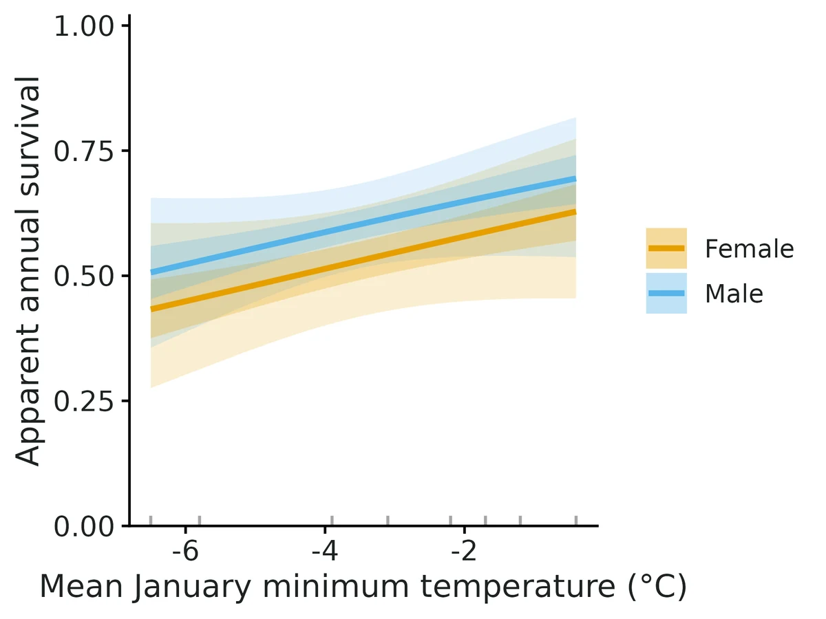 Figure: Apparent survival versus mean January minimum temperature (°C) (line: maximum-likelihood estimate; dark band: 50%, light band: 95% confidence interval), one curve per Sex; other covariates at their means.