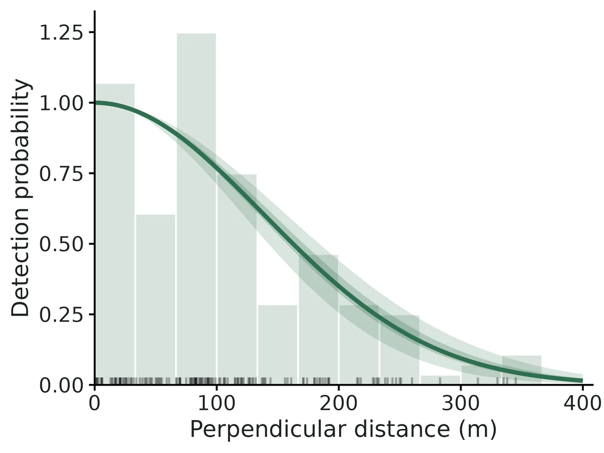 Figure: Fitted half-normal detection function (model-averaged with hazard-rate) with 95% and 50% confidence bands over the histogram of the 145 perpendicular distances within 400 m, scaled to detection probability.