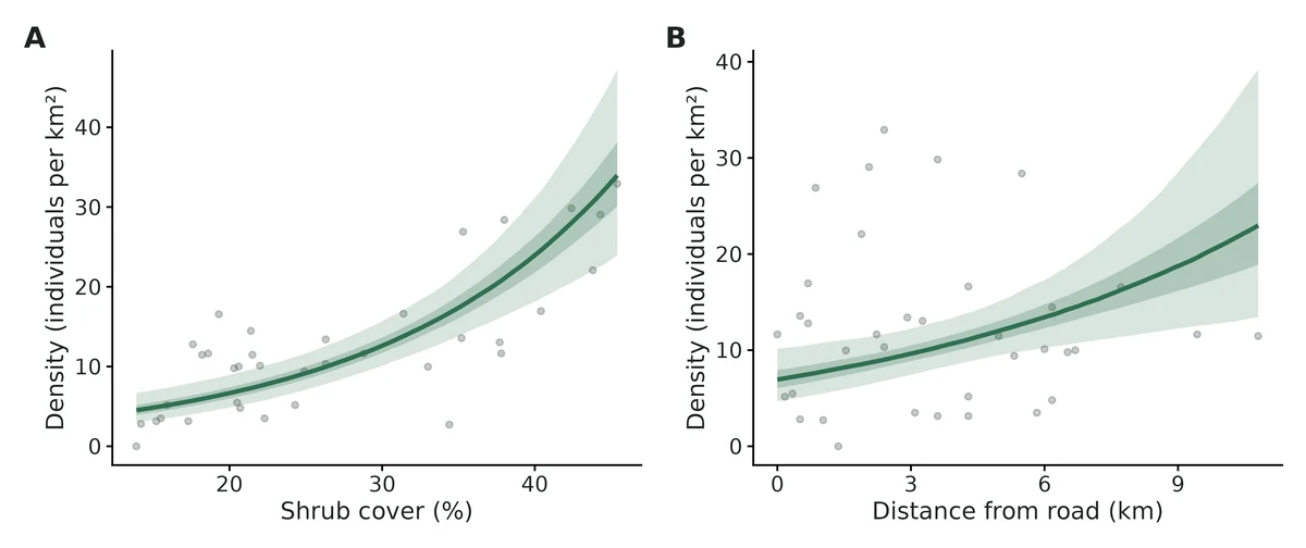 Figure: Conditional effects of shrub cover (A) and road distance (B) on deer density.