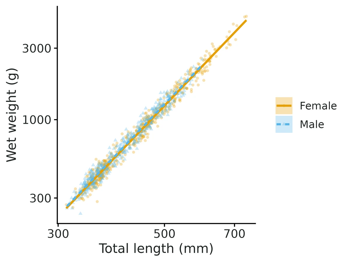 Figure: Length-weight relationship on log-log axes: mean weight at length (bias-corrected back-transform; line, drawn over each group's observed lengths) with 95% confidence band, common slope b = 3.340 with group-specific intercepts.