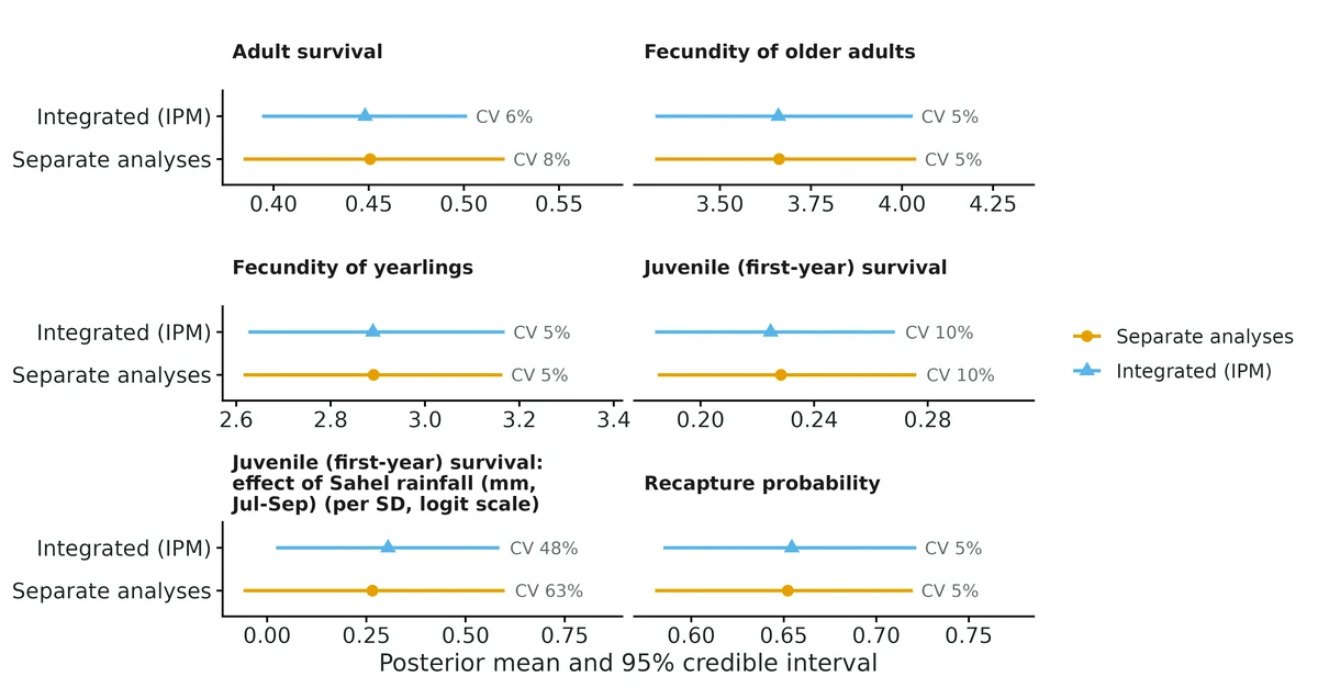 Figure: Precision of the integrated population model versus separate analyses of the capture-recapture and productivity data (same priors and year effects).