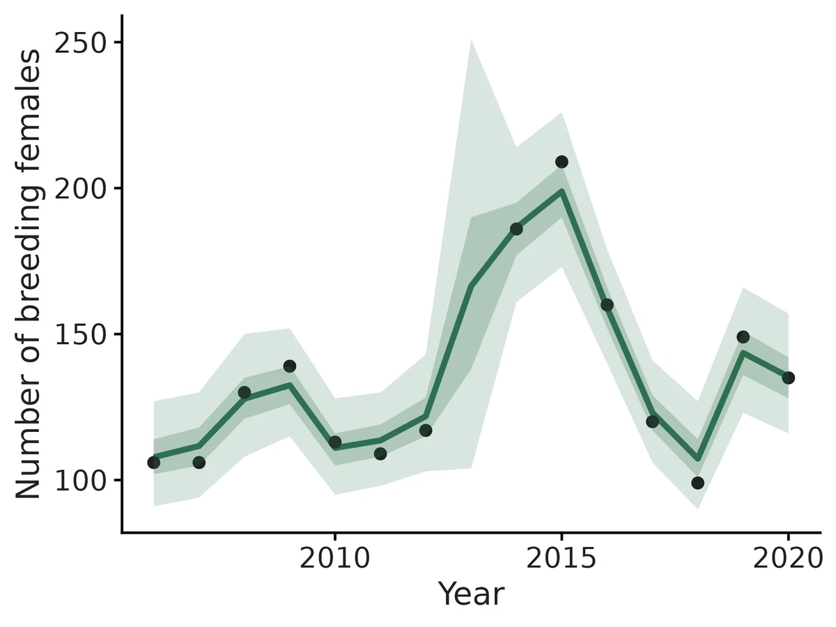 Figure: Estimated number of breeding females per year (line: posterior mean; bands: 95% and 50% credible intervals) with the observed counts (points).