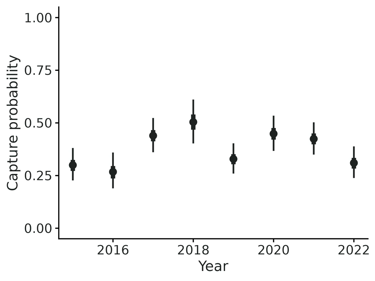 Figure: Capture probability of an animal present at each occasion (95% credible intervals), as predicted from trapping effort (trap-nights).