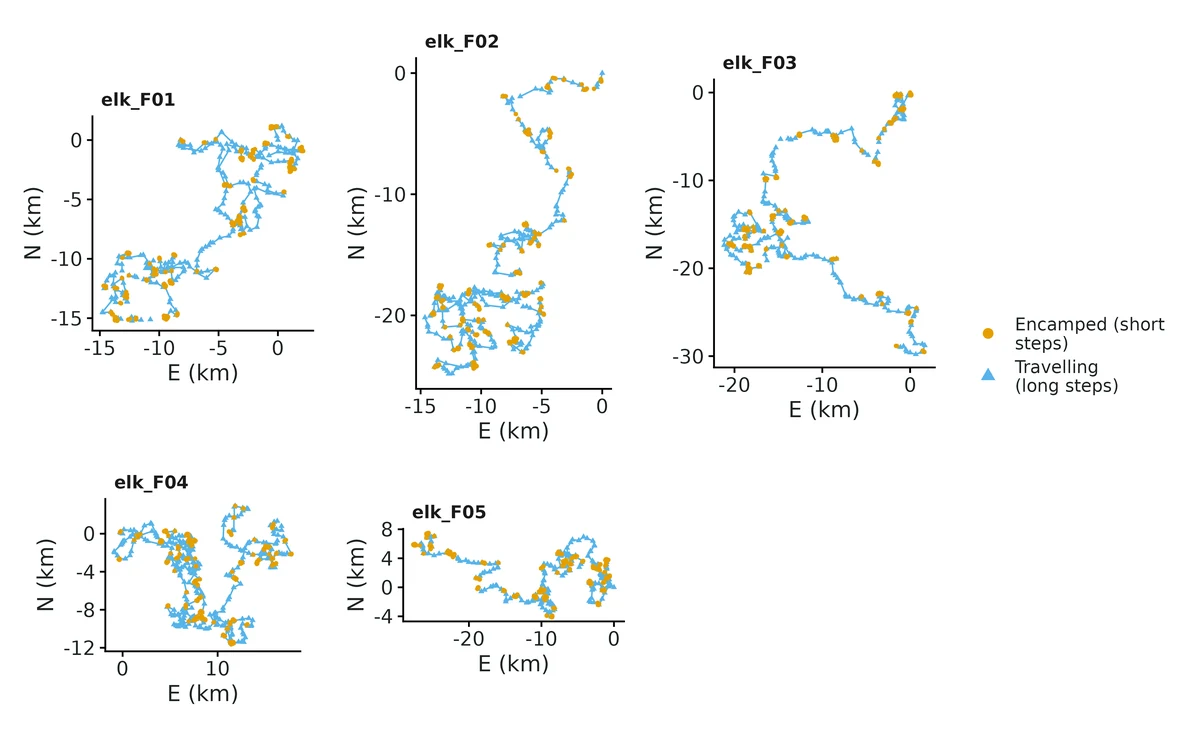 Figure: Tracks coloured by the most likely state sequence (Viterbi algorithm) for each animal; coordinates in km relative to the first fix; each segment takes the colour of the state at its start.