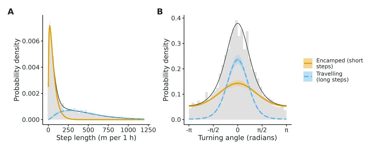 Figure: State-dependent distributions, each weighted by the long-run share of time in that state (activity budget): (A) gamma step-length densities, (B) von Mises turning-angle densities.