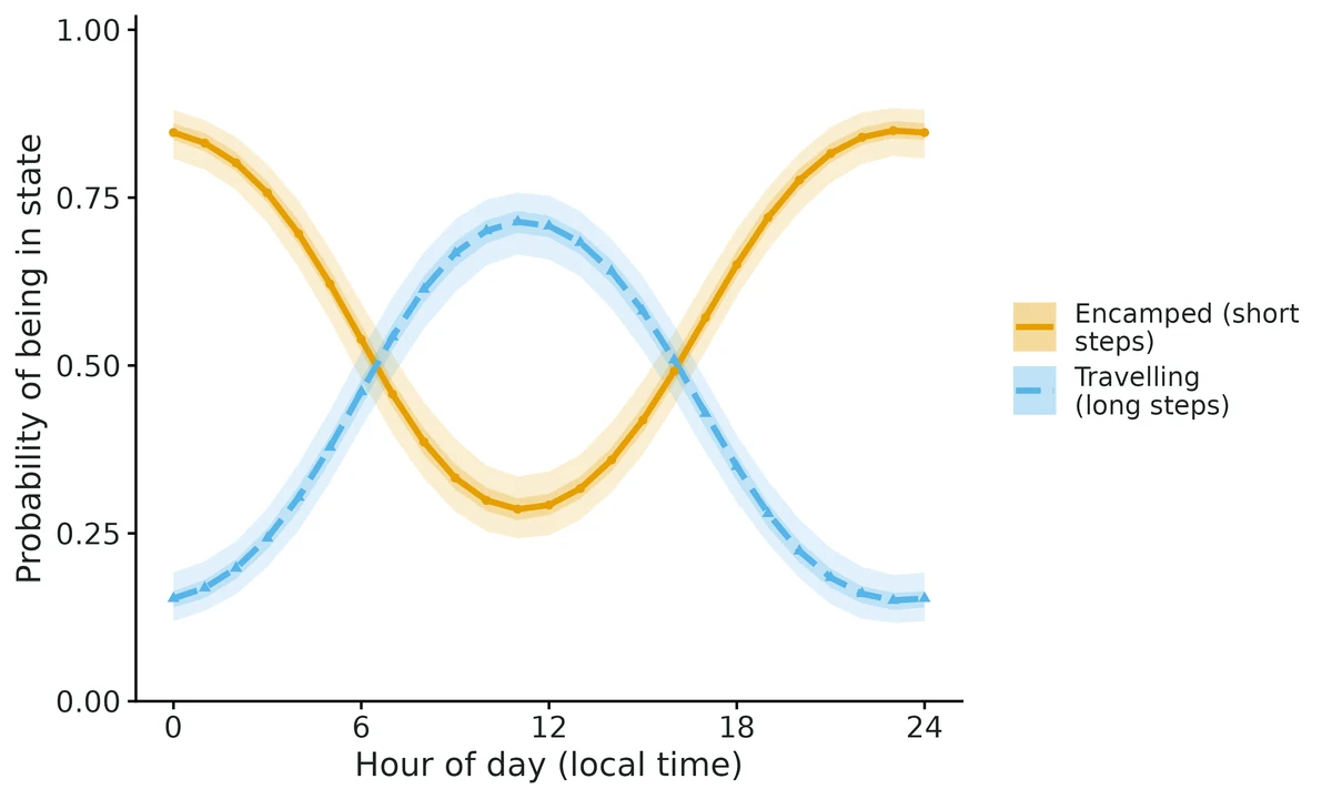 Figure: Probability of being in each state at each clock hour over the daily cycle (periodically stationary distribution of the fitted time-of-day model; Koslik et al. 2025), habitat covariates at their mean…