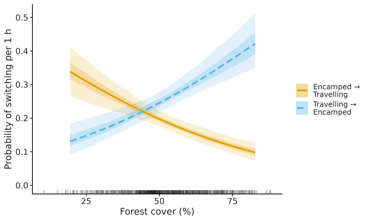Figure: Probability of switching from one behavioural state to another in one time step against Forest cover (%), other covariates at their mean, averaged over the 24-h cycle.