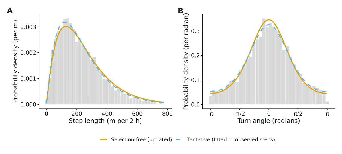 Figure: Movement kernel.