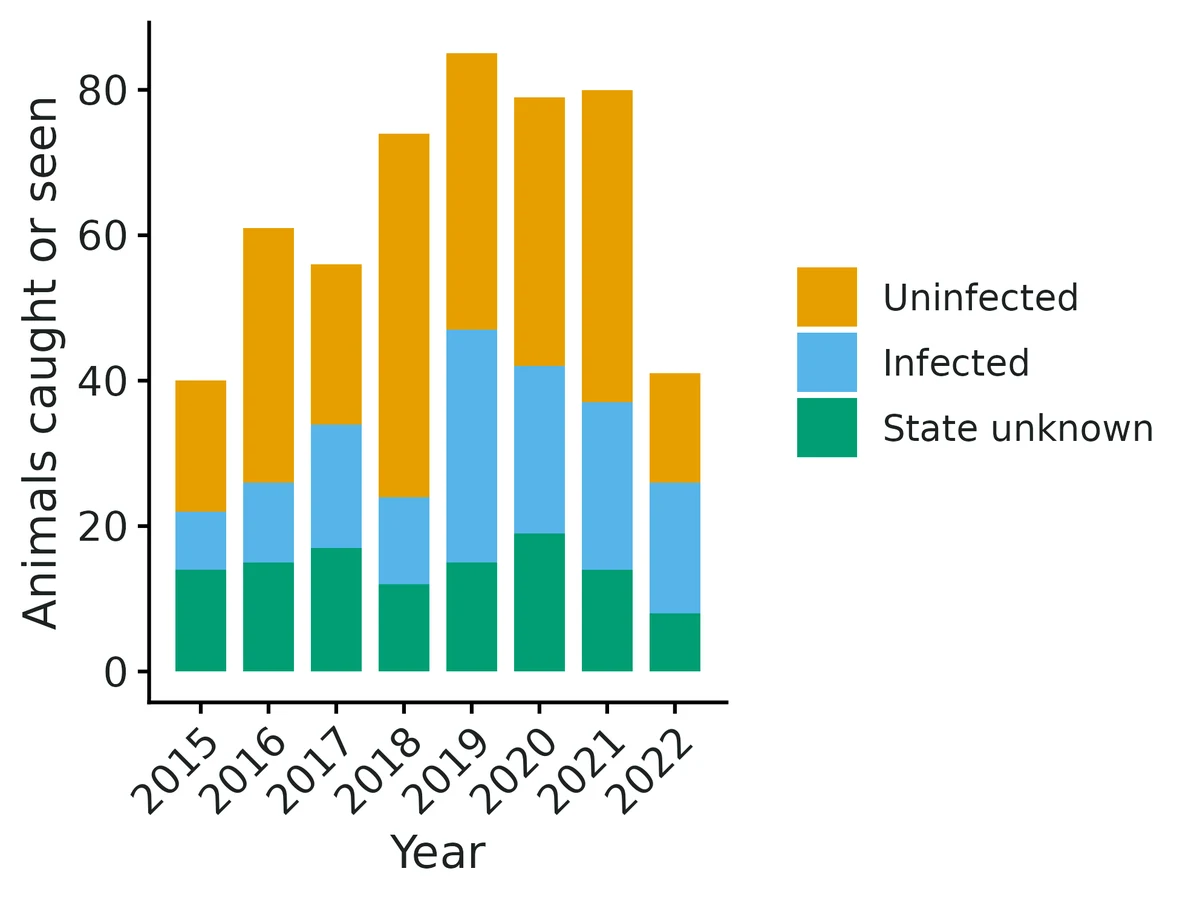 Figure: Number of animals caught or resighted at each occasion, by recorded state (raw data).