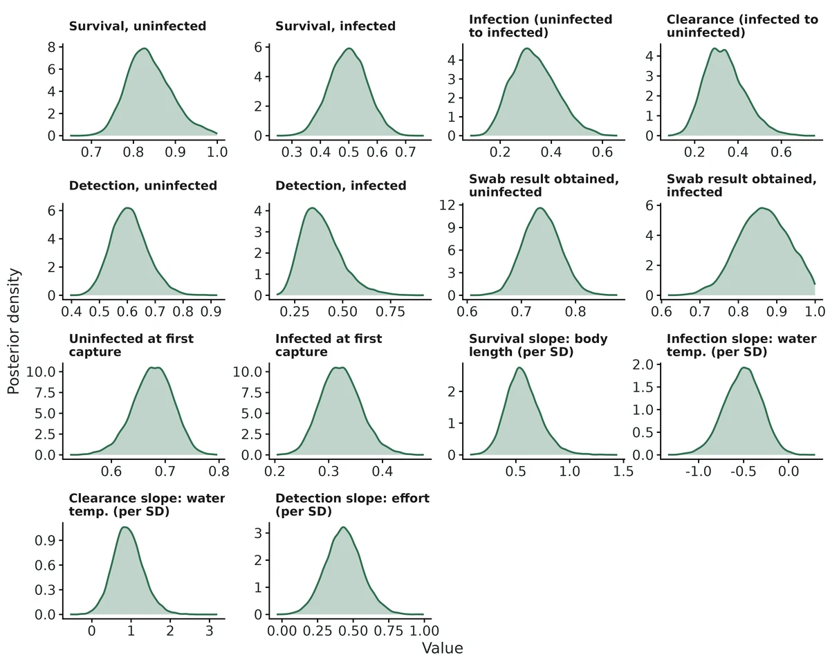 Figure: Posterior densities of all reported quantities.