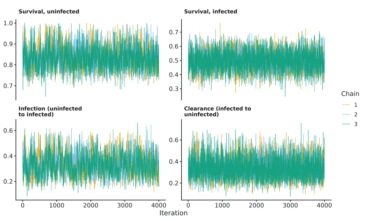 Figure: MCMC traces of survival and transition probabilities, one colour per chain (after burn-in).
