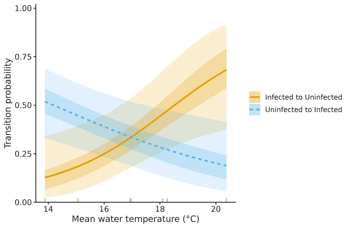Figure: Probability of switching state over one year (for survivors) against Mean water temperature (°C), one curve per transition; dark band = 50% and light band = 95% credible intervals.