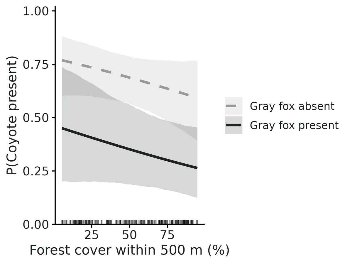 Figure: Probability that Coyote occupies a site where Gray fox is present vs absent, against Forest cover within 500 m (%) (other covariates held at Housing density (units per km²) = 39.4 (geometric mean, as the model uses its logarithm))…