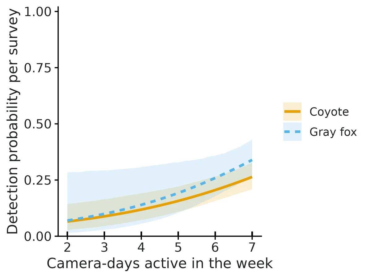 Figure: Probability of detecting each species on one survey where it is present, against Camera-days active in the week (other detection covariates held at Camera on trail = no (reference level)), with 95% confidence intervals.