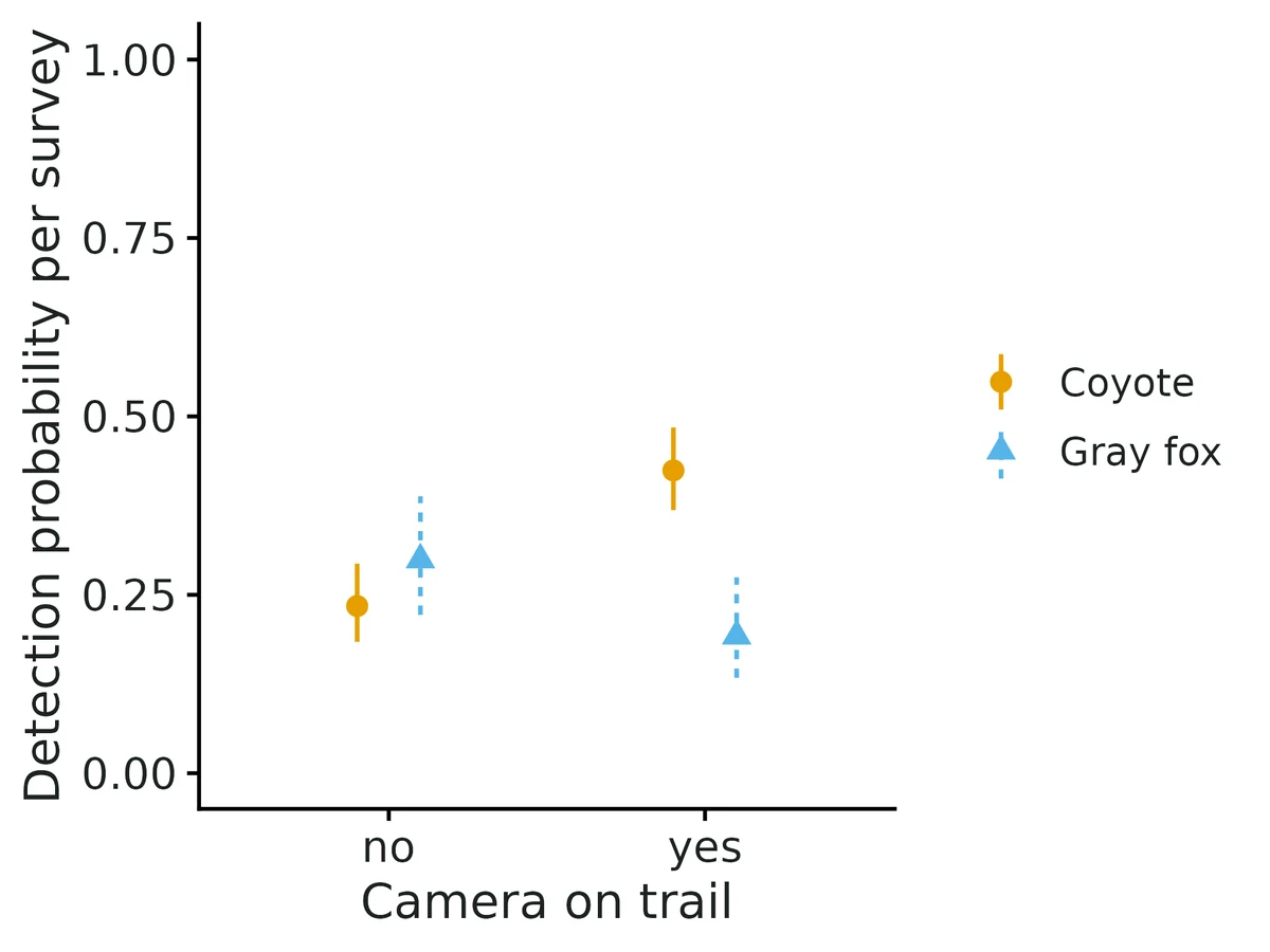 Figure: Probability of detecting each species on one survey where it is present, against Camera on trail (other detection covariates held at Camera-days active in the week = 6.52 (mean)), with 95% confidence intervals.