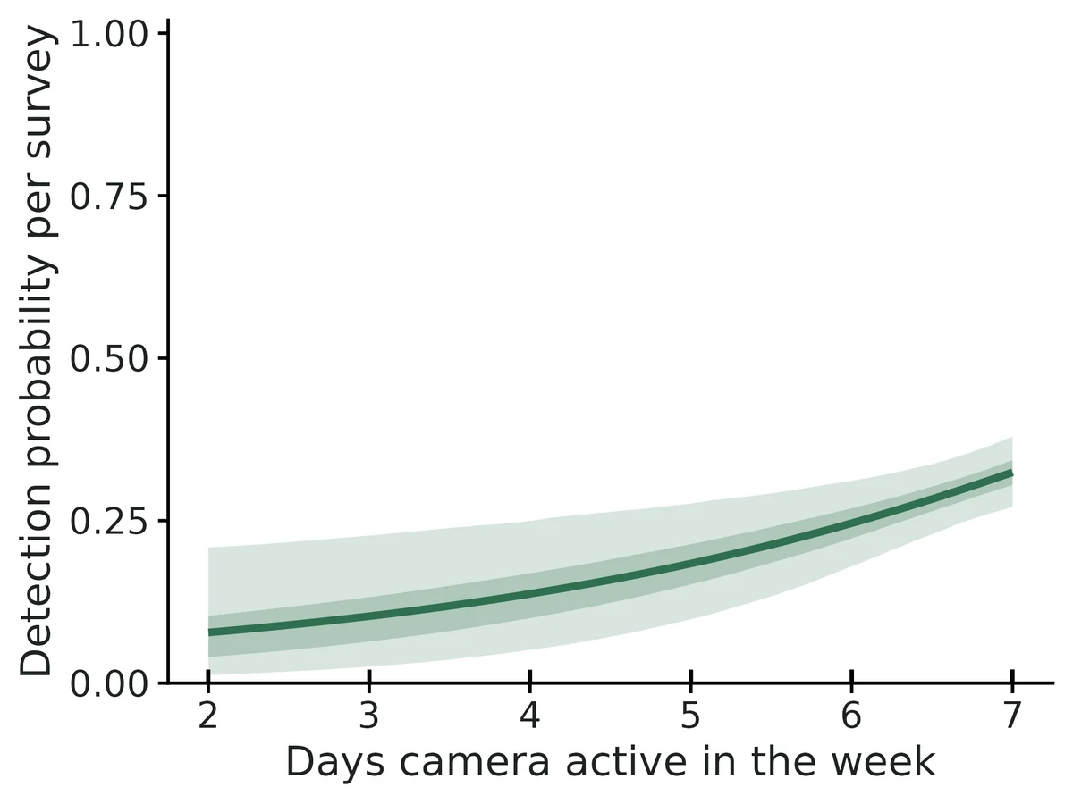 Figure: Per-survey detection probability vs Days camera active in the week (posterior mean, 95% and 50% credible bands), other detection covariates at their means; rug = surveys.
