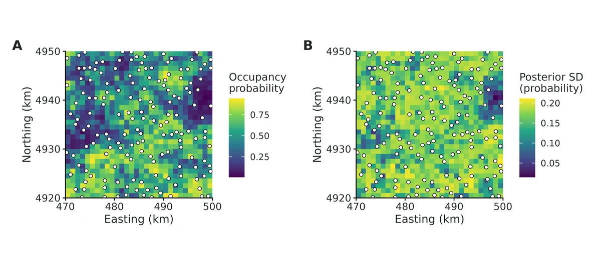 Figure: Predicted occupancy probability (posterior mean, A) and its uncertainty (posterior SD, B) on the prediction grid; points = surveyed sites.