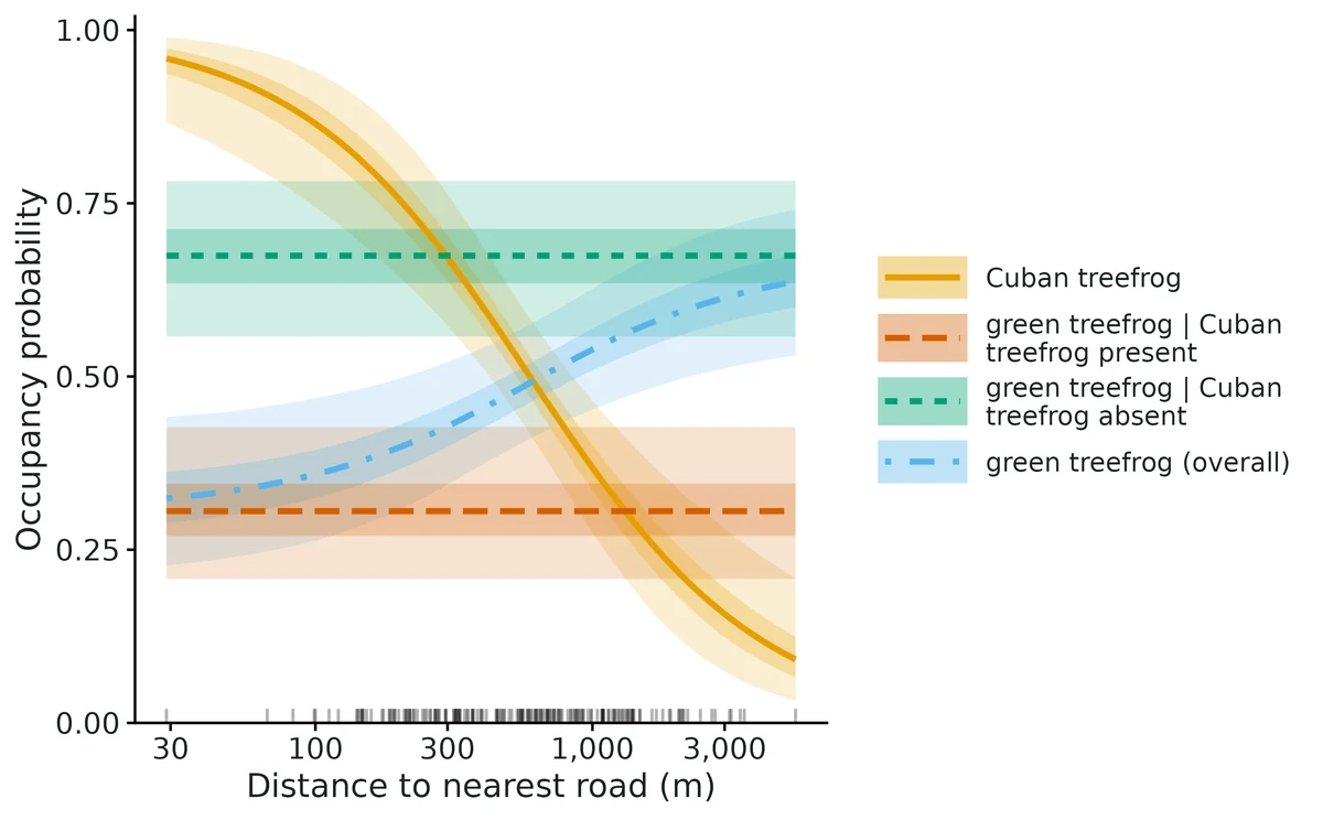 Figure: Occupancy along Distance to nearest road (m) (log-scaled axis, as the covariate enters the model as a log) (other covariates held at Canopy cover (%) = 47.1 (mean)): Cuban treefrog…