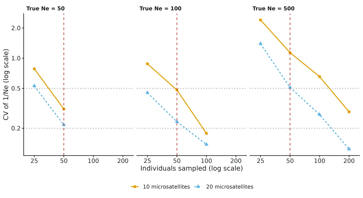 Figure: Precision of the LD estimate by design, from simulated Wright-Fisher populations (ecotools validation, microsatellites): coefficient of variation of 1/Ne (the quantity LDNe estimates nearly without bias) against the number of…