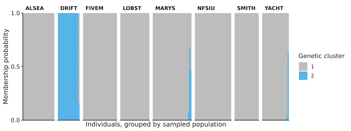 Figure: DAPC membership probabilities (one bar per individual, grouped by sampled population) for the K = 2 clusters found by k-means, using 1 principal component(s) (K - 1; Thia 2023).