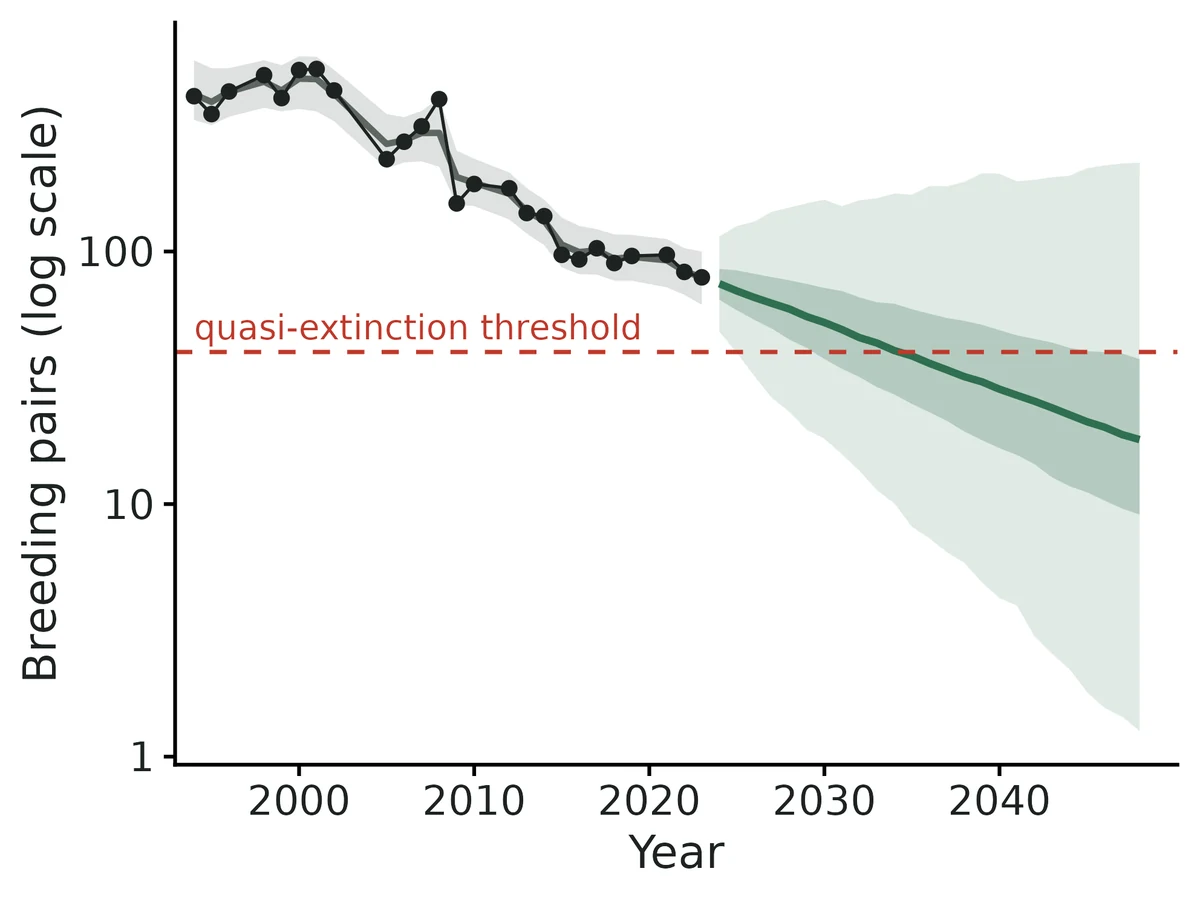 Figure: Observed counts (points), state-space estimate of true abundance with 95% band (grey) and projected abundance: median (line), 50% and 95% of simulated futures (bands) including uncertainty in growth rate and variance.