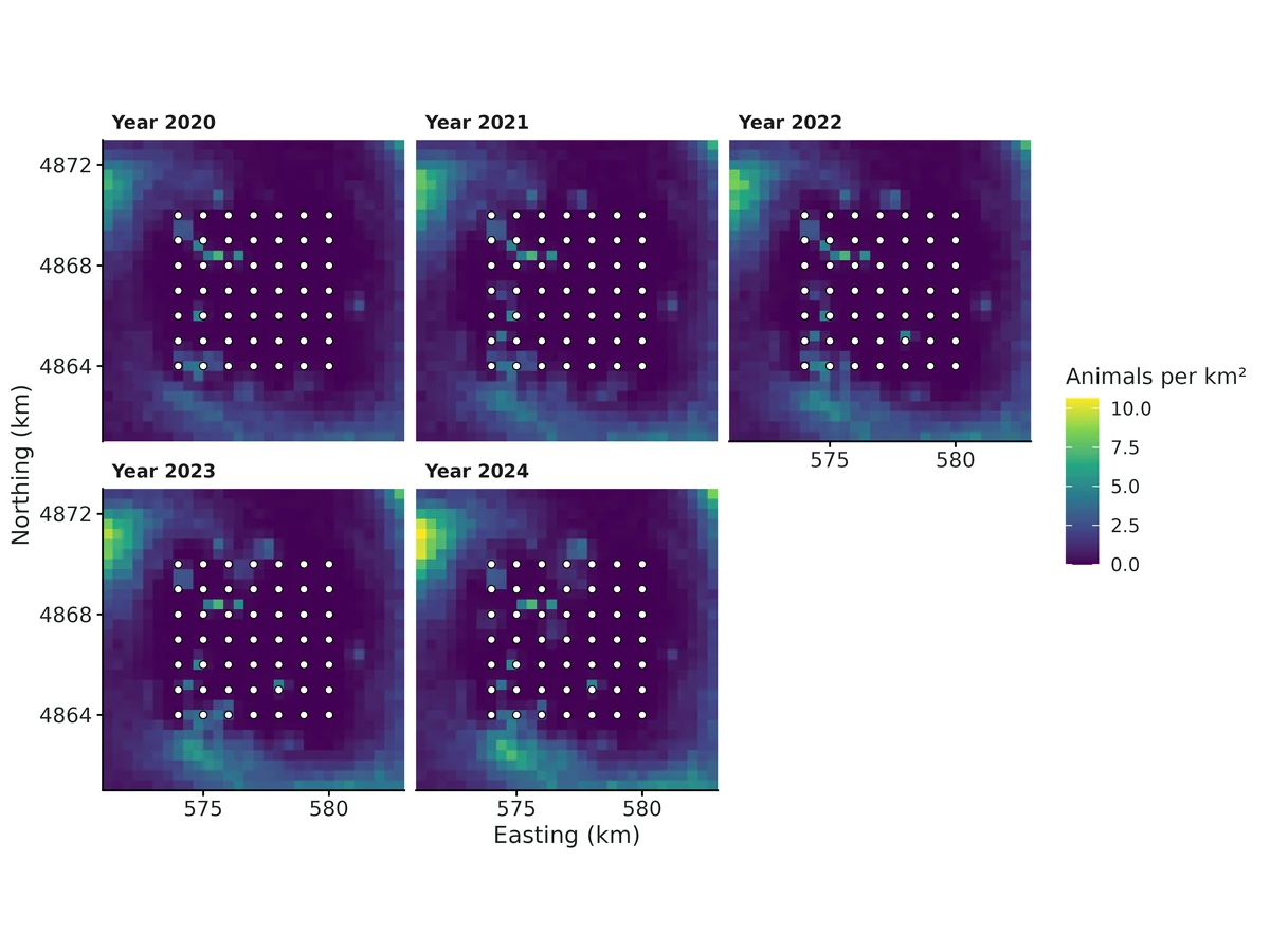 Figure: Posterior mean realised density (animals per km²) in each period: alive animals placed at their estimated activity centres, including animals never detected.