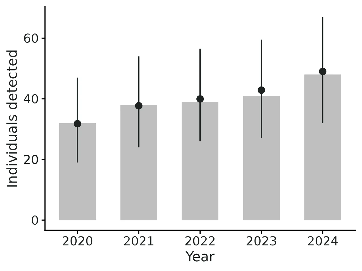 Figure: Bars: individuals detected in each period.
