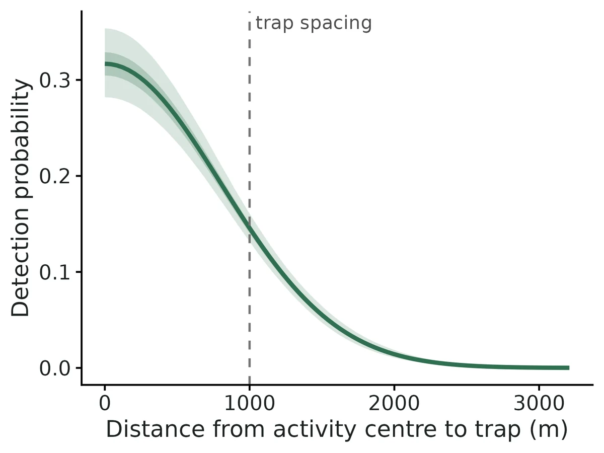 Figure: Probability of detecting an animal at a trap on one occasion versus distance from its activity centre: half-normal p0 exp(-d^2 / 2 sigma^2), constant across periods, with 95% and 50% credible bands.