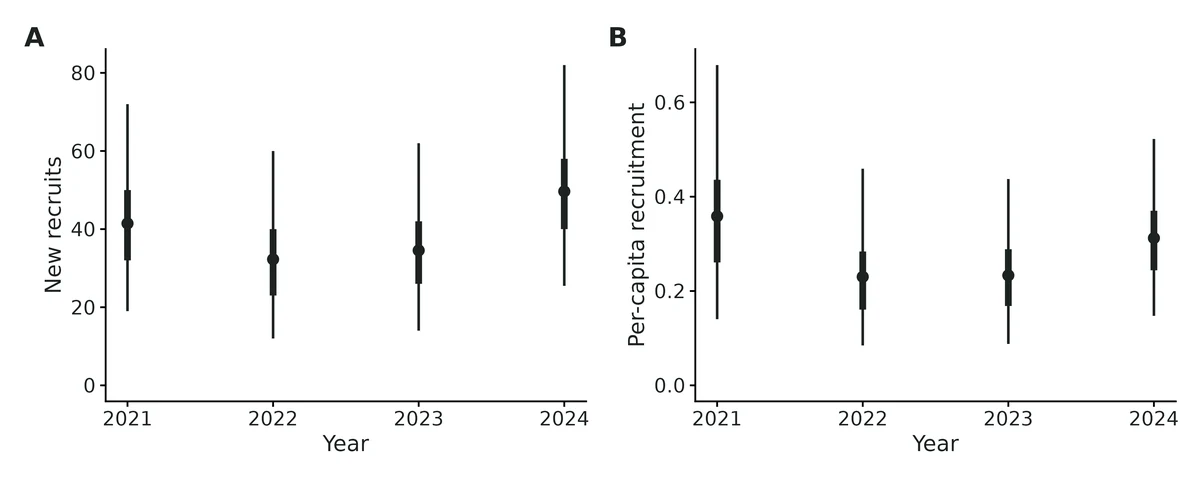 Figure: (A) Number of new animals entering the state space in each period and (B) per-capita recruitment (recruits per animal alive in the previous period); points are posterior means, thick and thin bars 50% and 95% credible intervals.