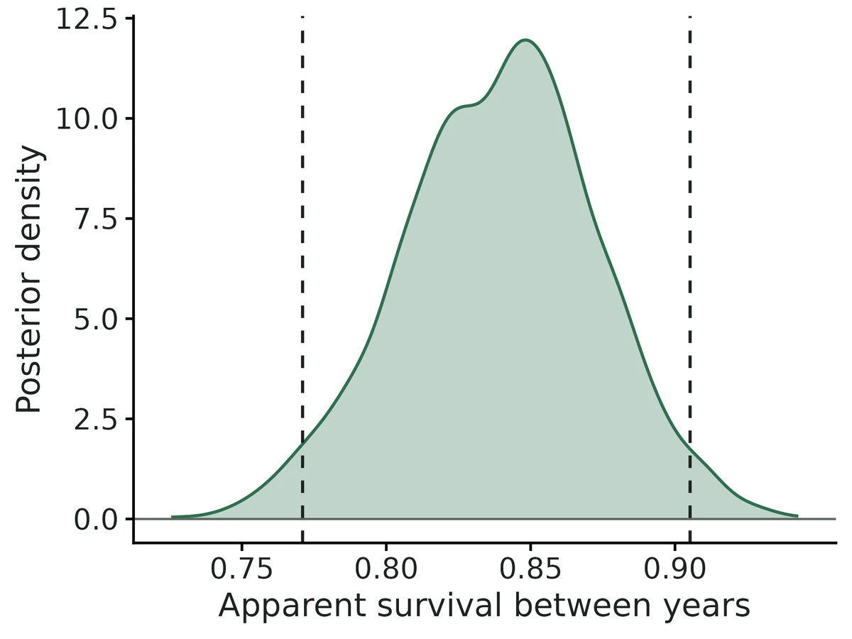 Figure: Posterior distribution of apparent survival between consecutive periods (constant over time; Uniform(0,1) prior); dashed lines: 95% credible interval.