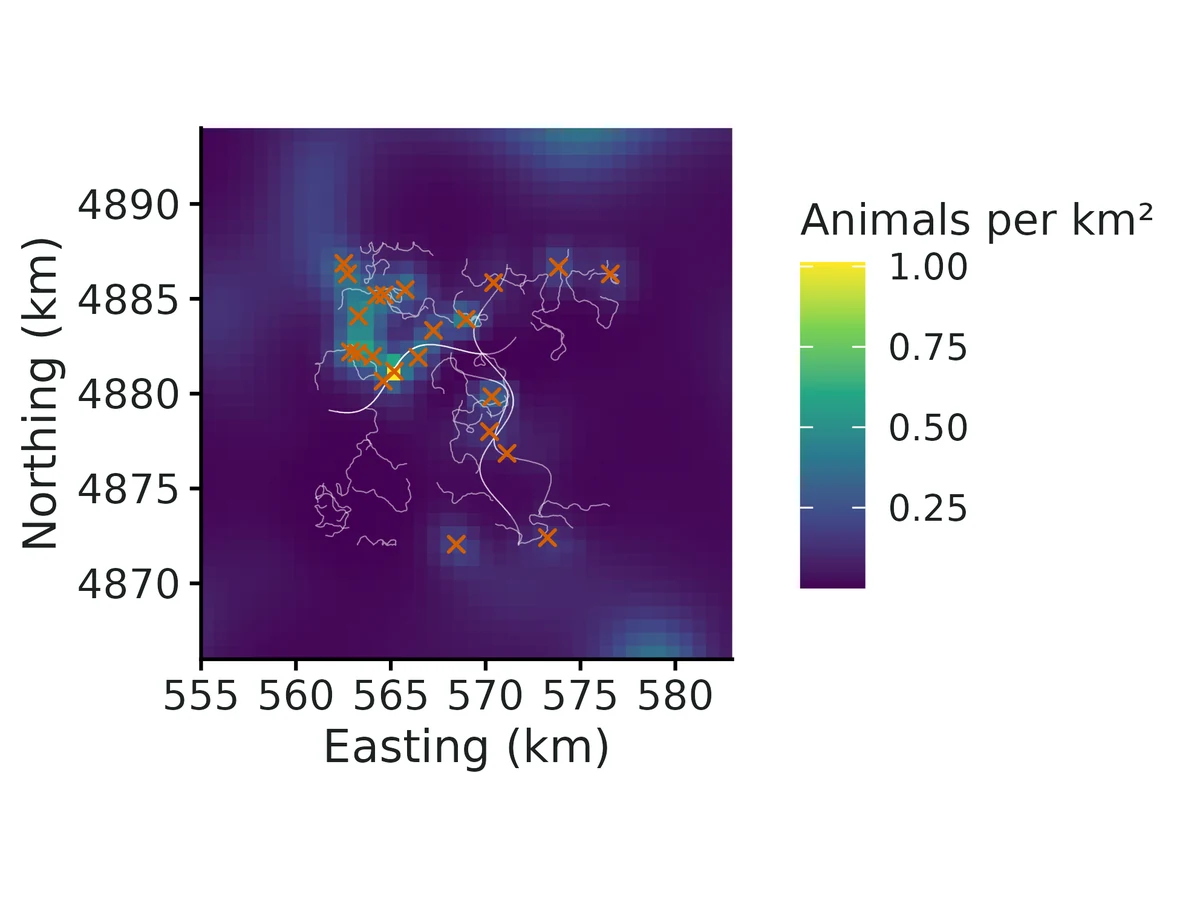 Figure: Posterior mean realised density (animals per km²): identified animals placed by their estimated activity centres plus the expected density of animals never sampled.