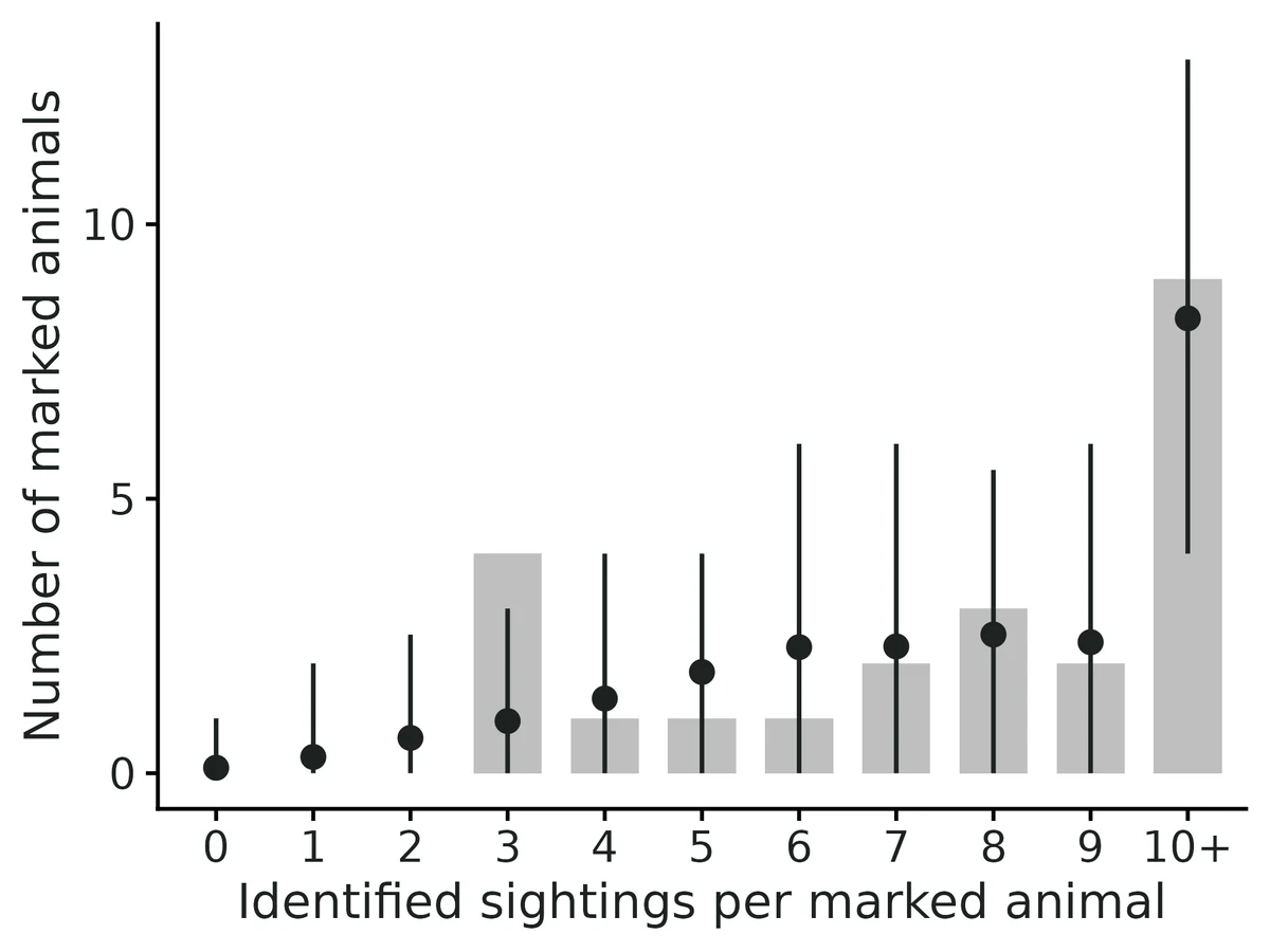 Figure: Bars: observed number of marked animals identified 0, 1, 2, ... times on camera.
