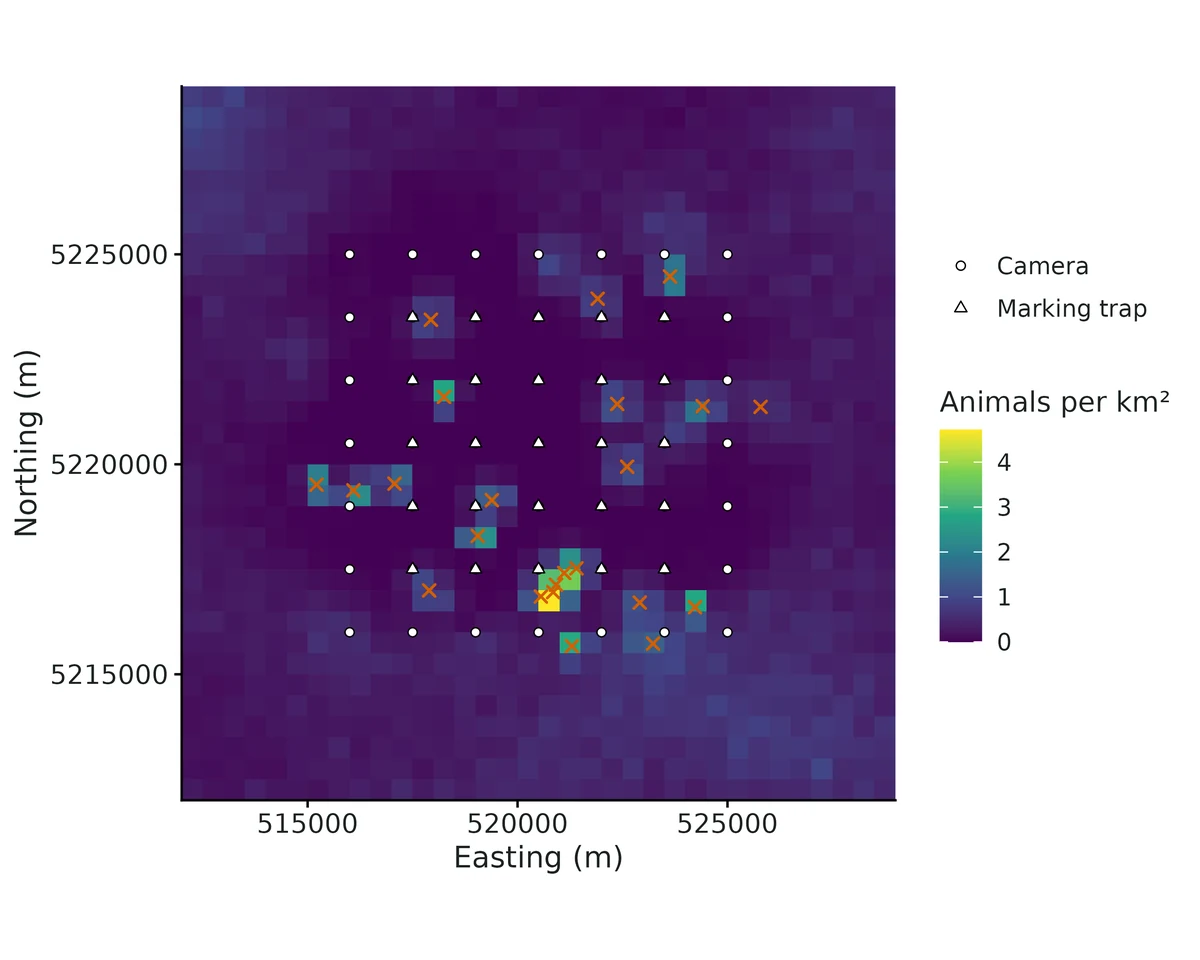 Figure: Posterior mean realised density (animals per km²): marked and unmarked activity centres combined, averaged over 300 posterior draws.