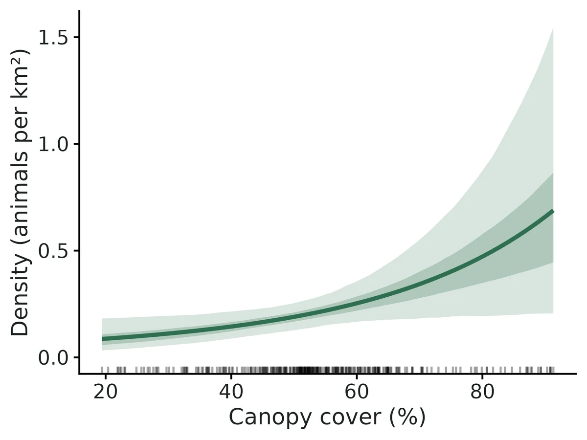 Figure: Expected bobcat density versus canopy cover (%) with 50% and 95% credible bands; rug = canopy values across the habitat.