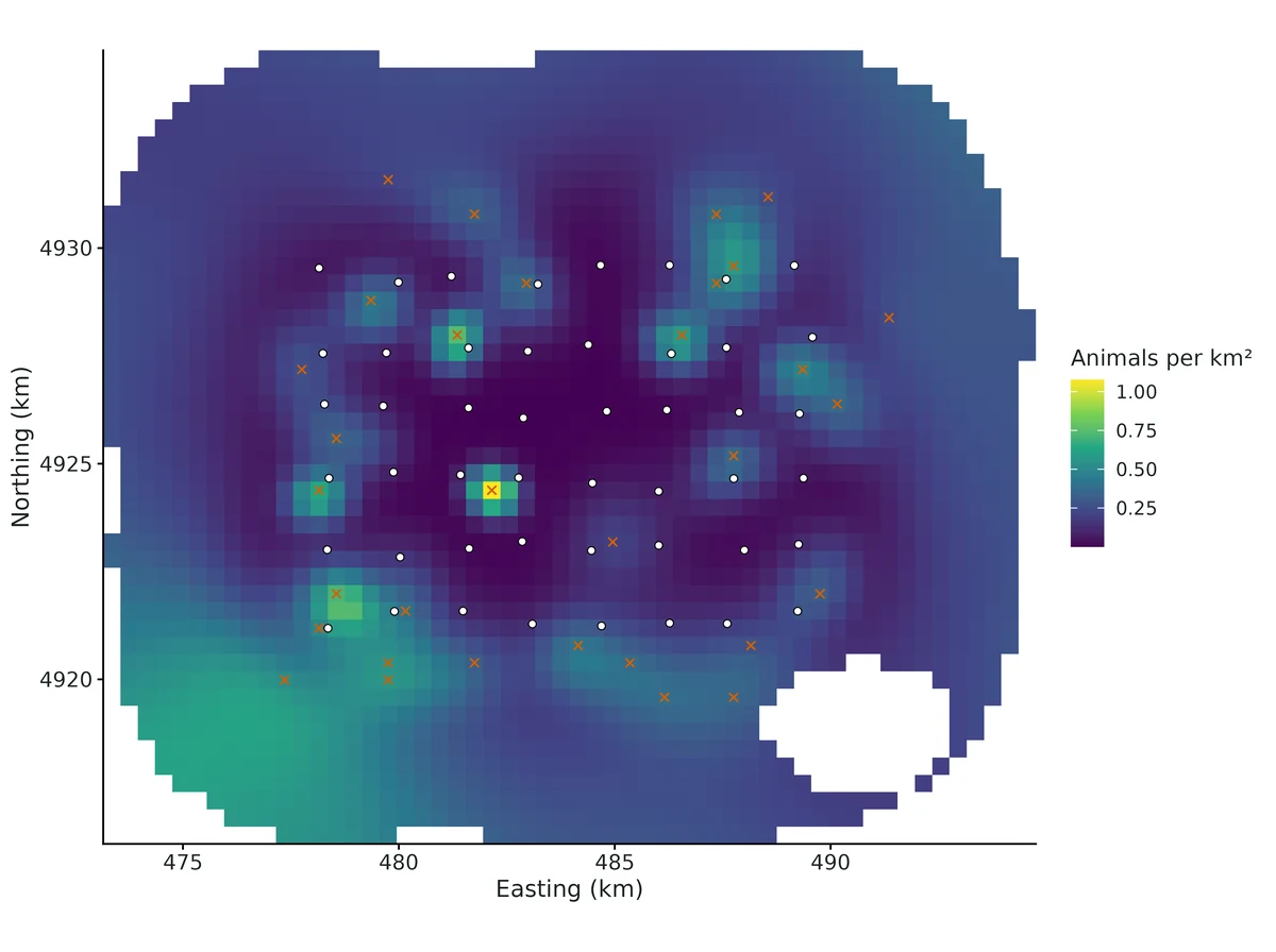 Figure: Posterior mean realised bobcat density (per km2) over the habitat; white dots = cameras; orange crosses = most likely activity centre of each of the 33 detected cats; blank = reservoir (not habitat).