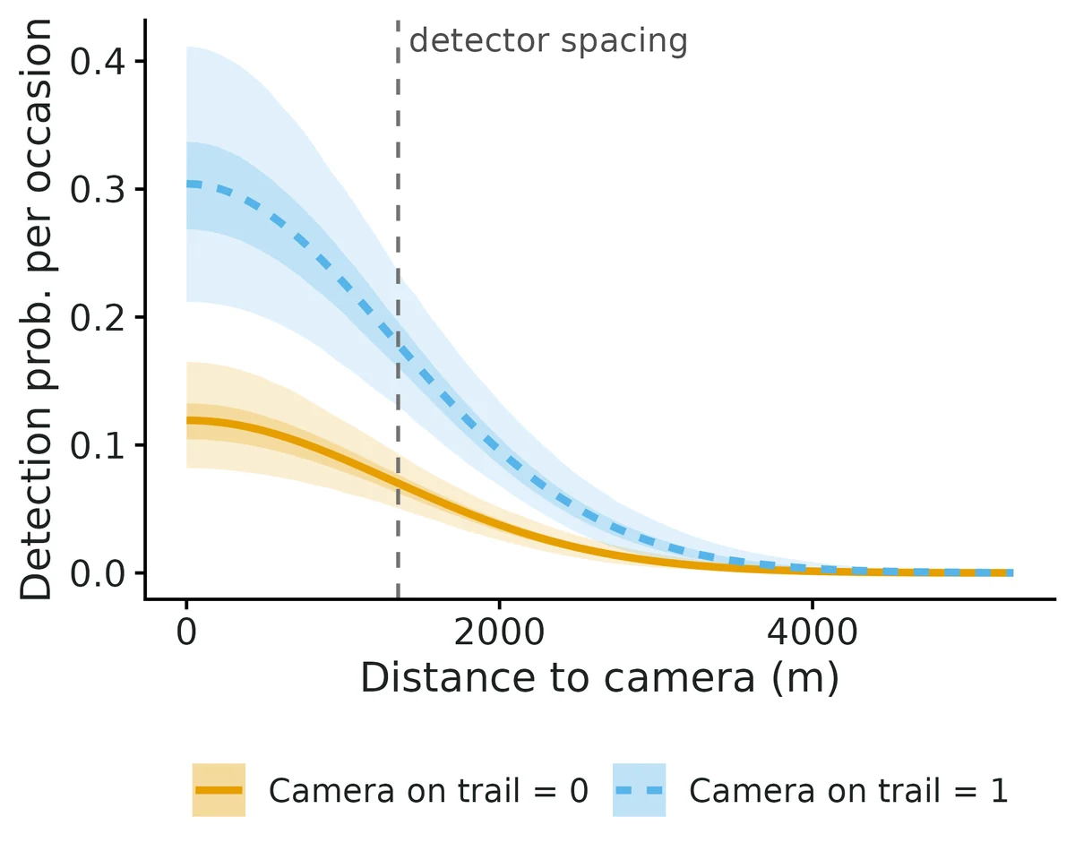 Figure: Weekly detection probability versus distance from a bobcat's activity centre to the camera, off-trail (solid) and on-trail (dashed) cameras, 50% and 95% bands; dashed vertical line = camera spacing.