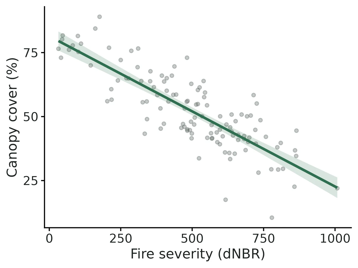 Figure: Conditional effect of Fire severity (dNBR) on Canopy cover (%) (response scale; line) with 95% confidence band; other predictors of Canopy cover (%) held at their means.