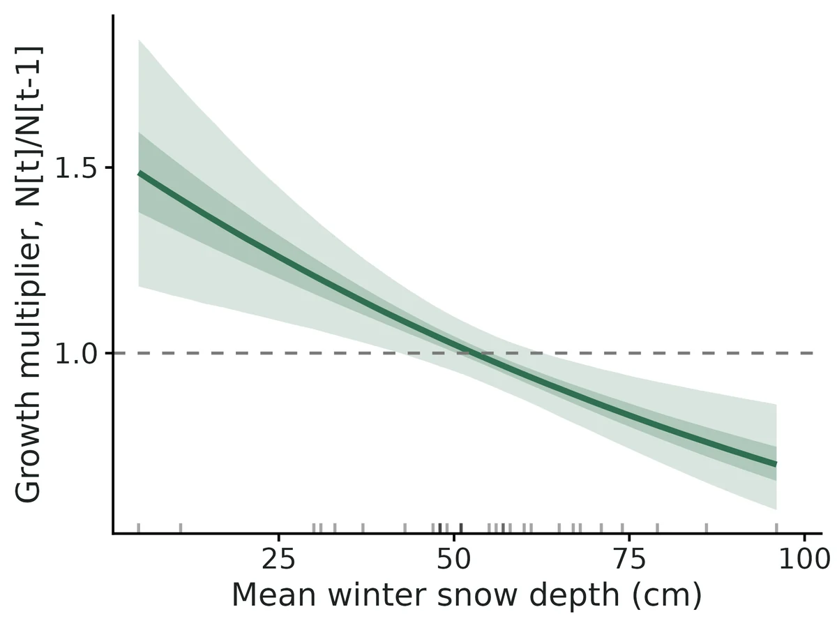 Figure: Expected annual growth multiplier (lambda; 1 = stable) vs Mean winter snow depth (cm), at average abundance; line = posterior median, bands = 95% and 50% credible intervals; rug = observed values.