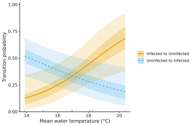 Figure: Probability of switching state over one year (for survivors) against Mean water temperature (°C), one curve per transition; dark band = 50% and light band = 95% credible intervals.