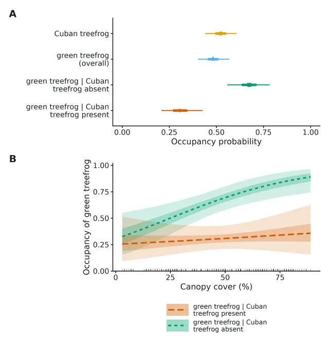 Figure: (A) Occupancy at average covariate values (covariates held at Distance to nearest road (m) = 546 (geometric mean); Canopy cover (%) = 47.1 (mean)): Cuban treefrog, green treefrog overall…